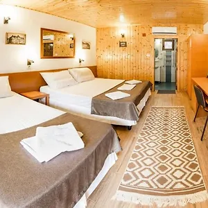 3* Guest house Pensiunea Casa